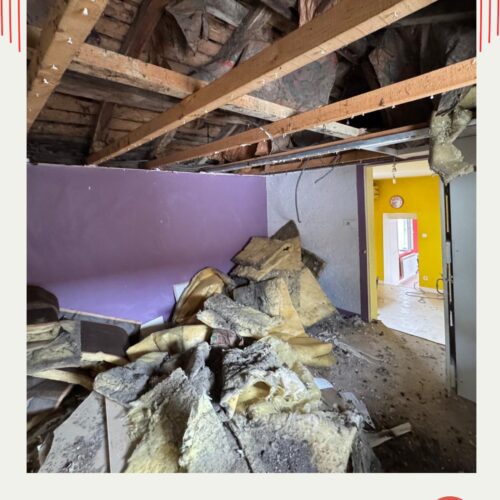 Dépose et mise à nu des combles